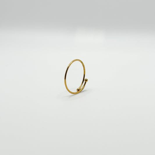 ANELLO FEDINA