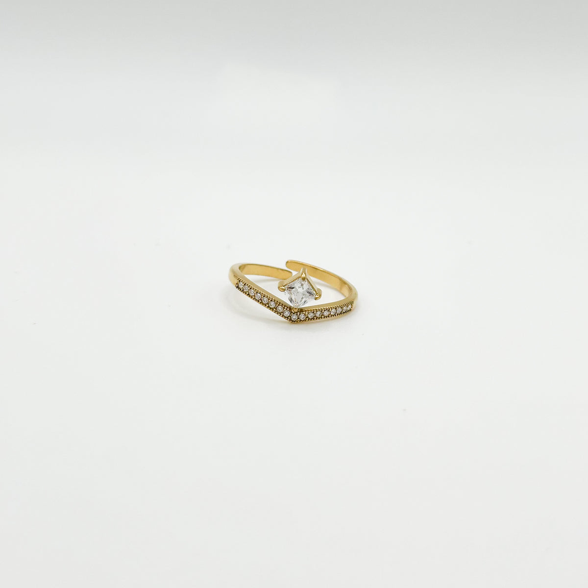 ANELLO VIDA