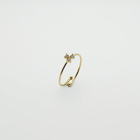 ANELLO FEDINA TRIO
