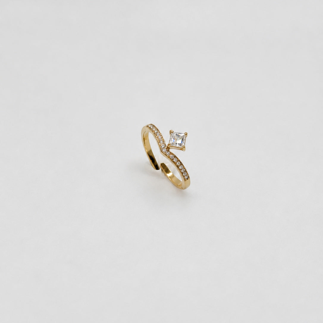 ANELLO VIDA