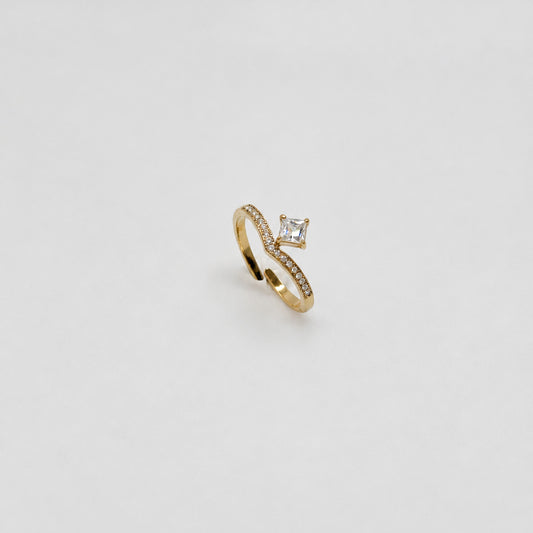 ANELLO VIDA